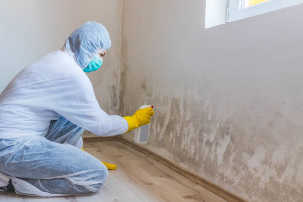 Hvac And Air Duct Mold Remediation inspection of HVAC system in Brodnax
