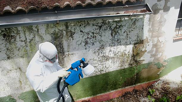 Mold Remediation service in Brodnax, Brodnax, VA